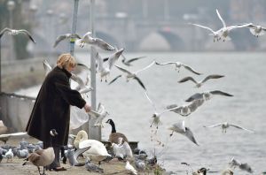 "She is Feeding the Birds" by Gilles San Martin